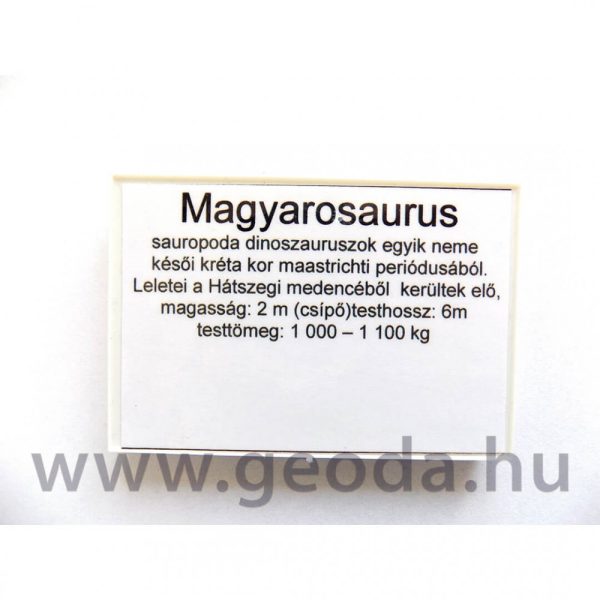 Magyarosaurus figura - Image 5
