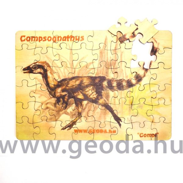 Compsognathus puzzle (48 db) - Image 2