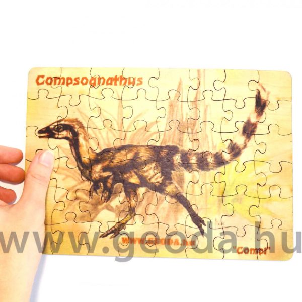 Compsognathus puzzle (48 db) - Image 3