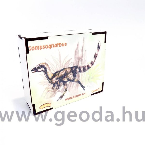 Compsognathus puzzle (48 db) - Image 6