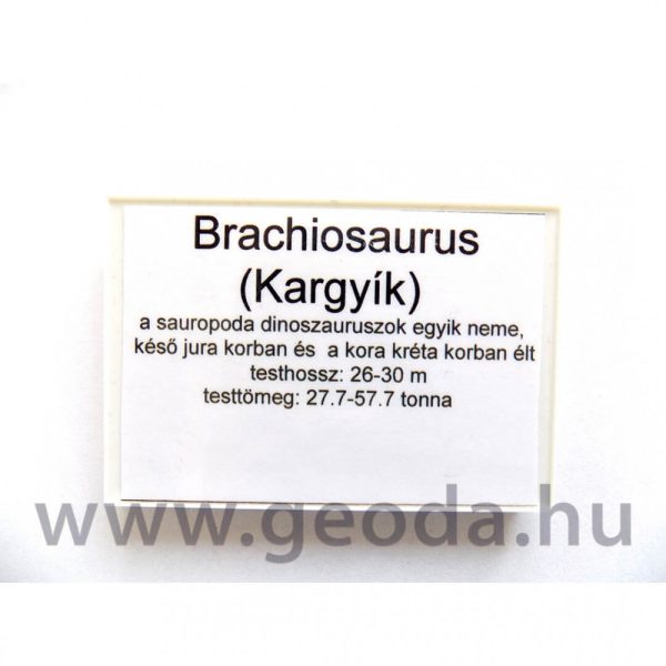 Brachiosaurus figura - Image 5