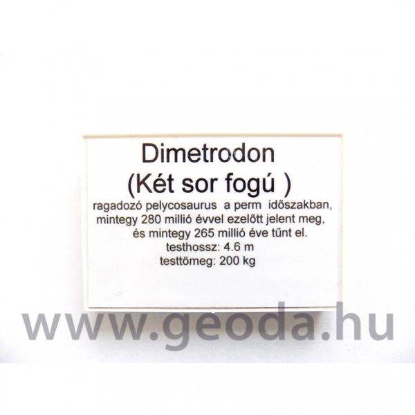 Dimetrodon figura - Image 5