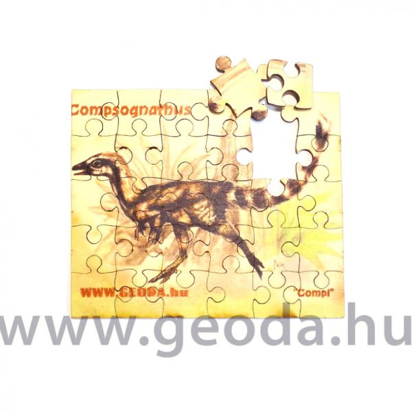 Compsognathus puzzle (30 db) - Image 2