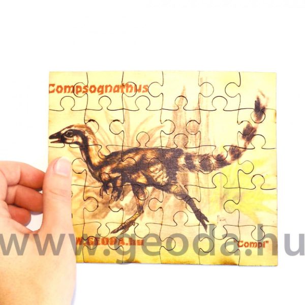 Compsognathus puzzle (30 db) - Image 3