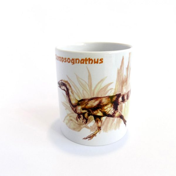 Compsognathus bögre - Image 2
