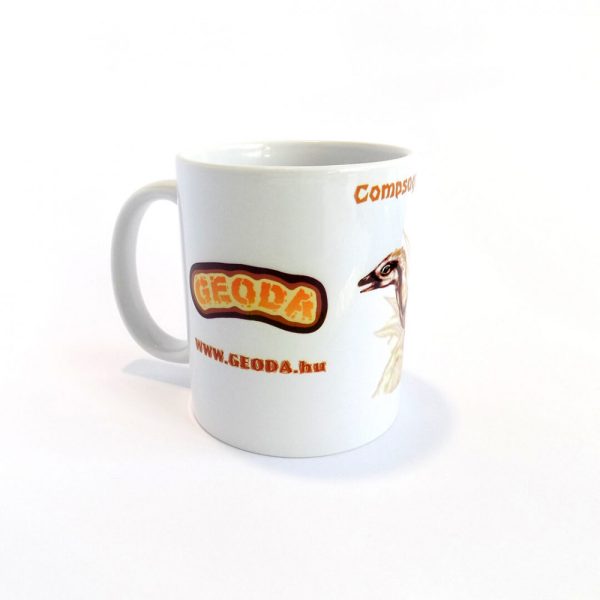 Compsognathus bögre - Image 4