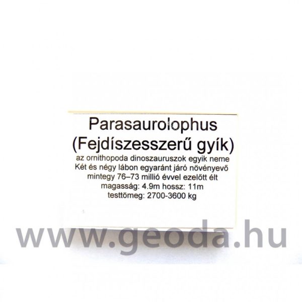 Parasaurolophus figura - Image 5