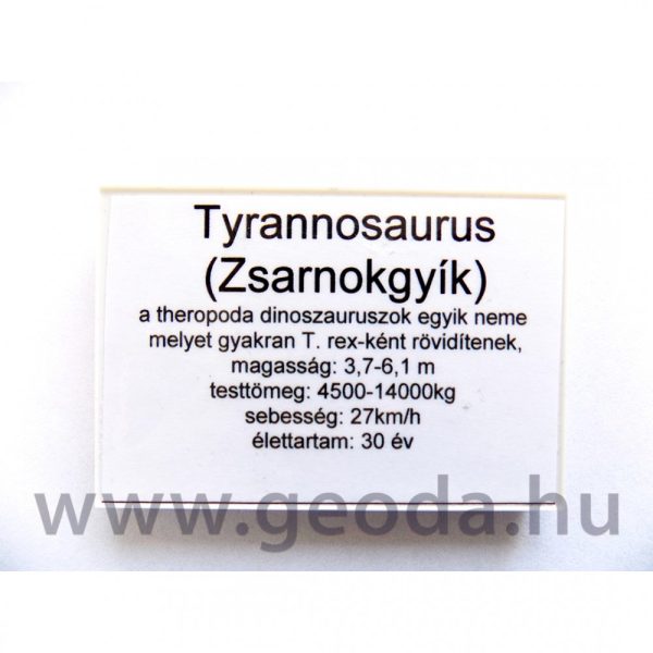 Tyrannosaurus figura - Image 5