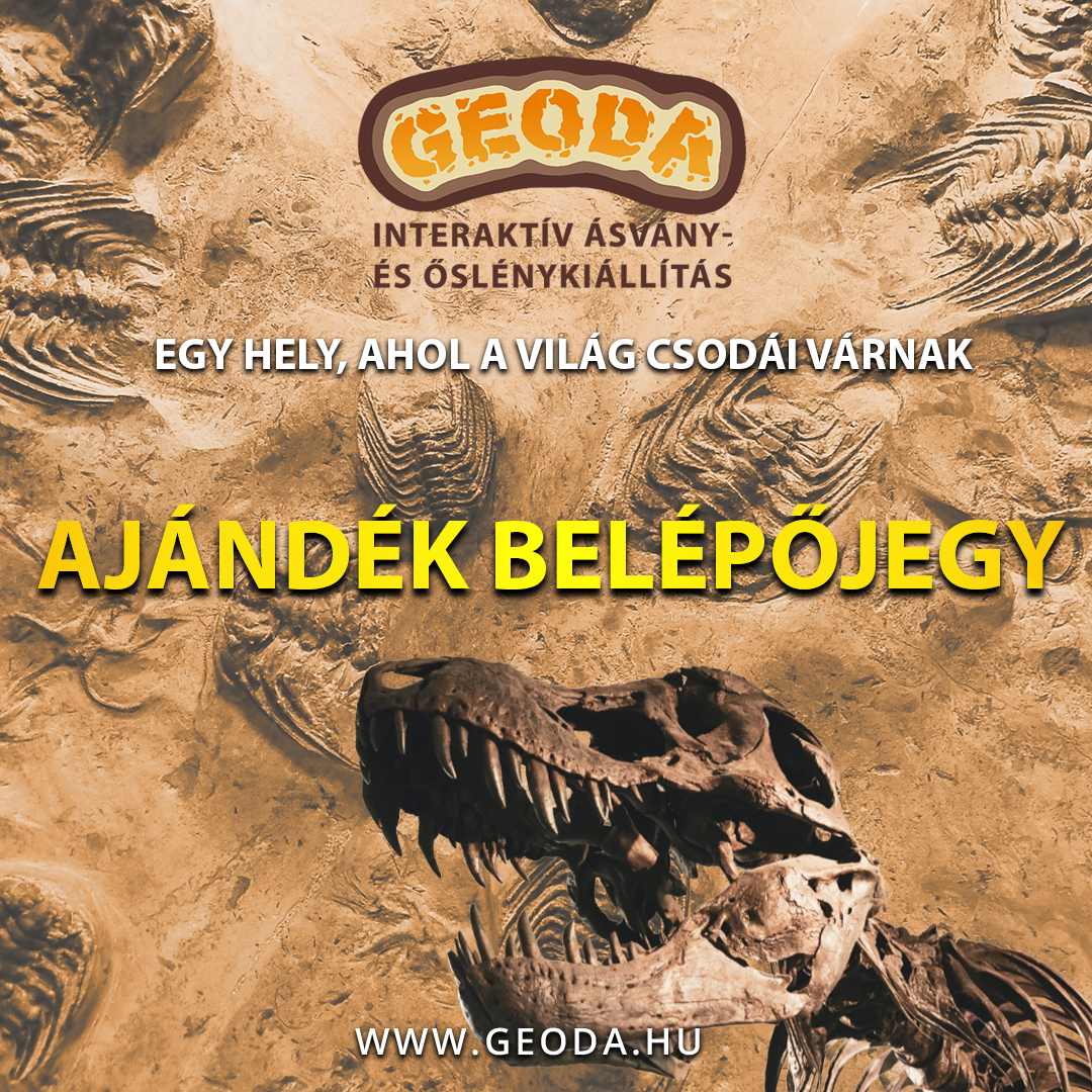 Ajándék belépőjegy